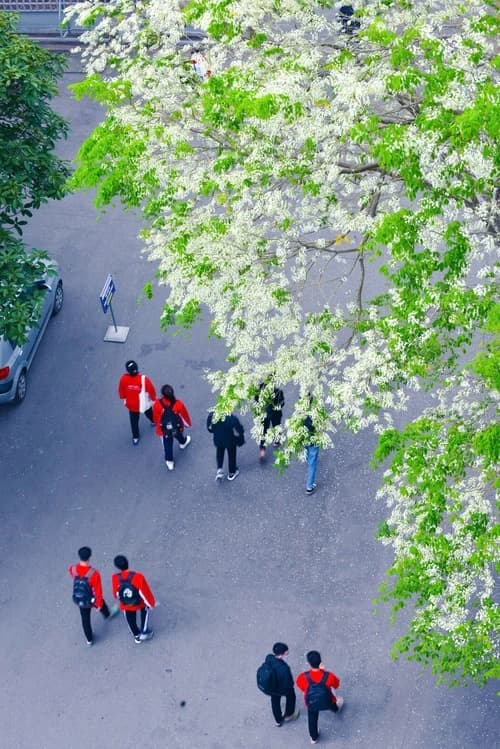 Students walking through the Academy campus.